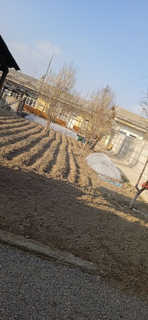 a dirt yard with a white tent
